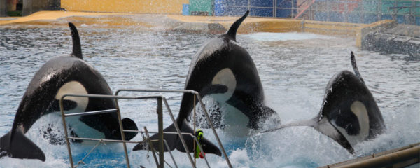 Marineland